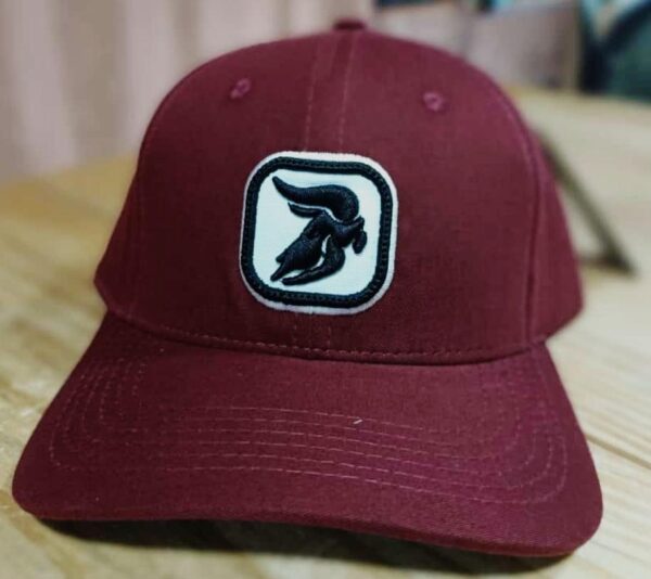 Boné Aurochs Roxo